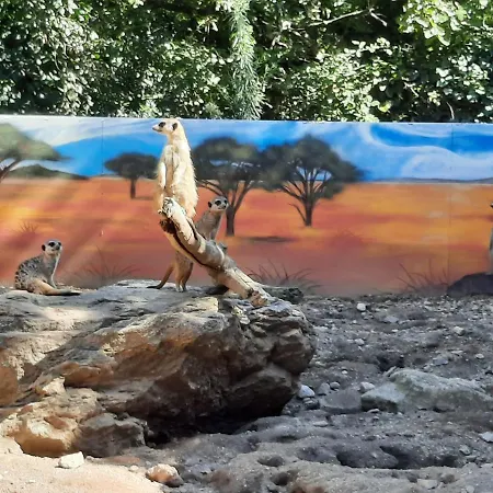 ホームステイ Cosy, Equipe, Wi-fi Proche Clinique Saint-pierre *