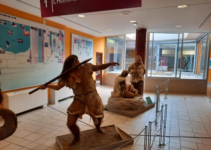 Quarto em Acomodações Particulares Cosy, Equipe, Wi-fi Proche Clinique Saint-pierre Perpinhã