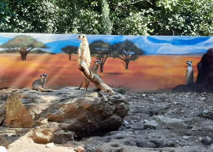 Accommodatie bij particulieren Cosy, Equipe, Wi-fi Proche Clinique Saint-pierre *