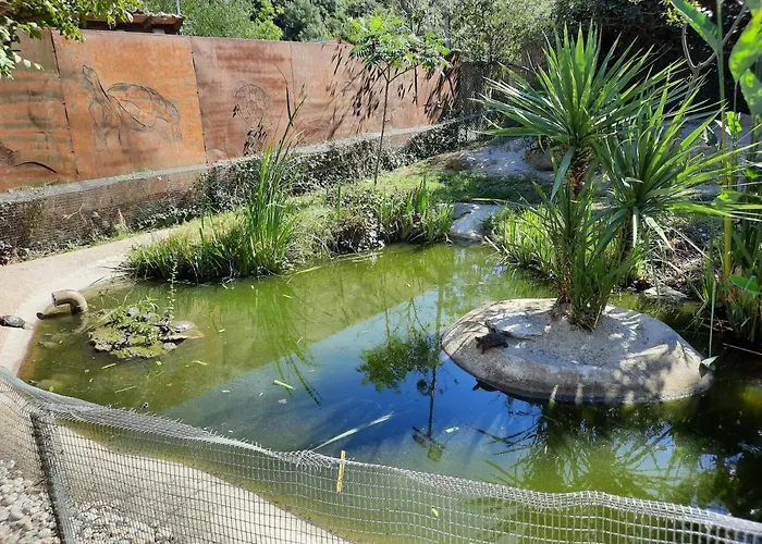 Cosy, Equipe, Wi-fi Proche Clinique Saint-pierre Privat bolig Perpignan