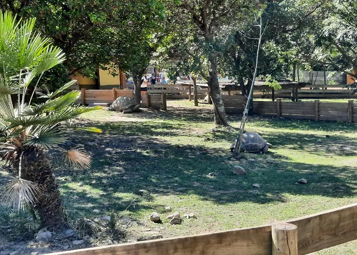 民宿 Cosy, Equipe, Wi-fi Proche Clinique Saint-pierre *